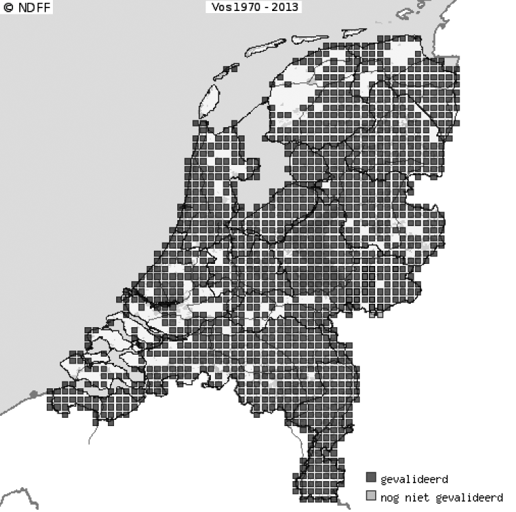 Figuur 1: Het vóórkomen van vossen in Nederland in de periode 1970–2013. Bron: Nationale Databank Flora en Fauna (< http://www.telmee.nl >).