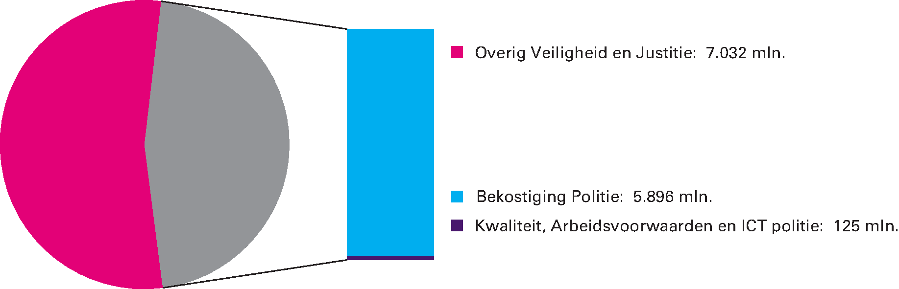 Artikel 31 Politie: 46,1% van de begrotingsuitgaven