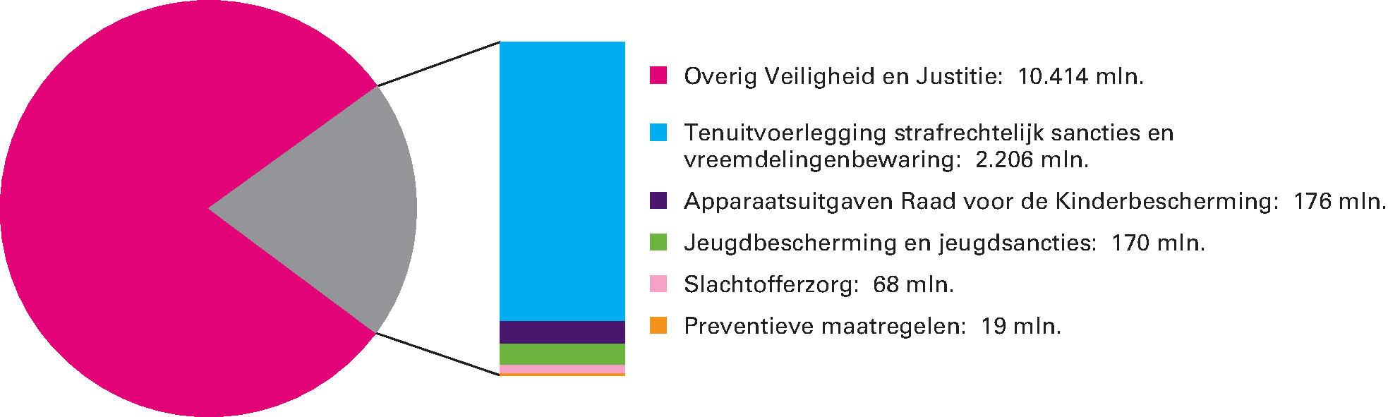 Artikel 34 Straffen en Beschermen: 20,2% van de begrotingsuitgaven