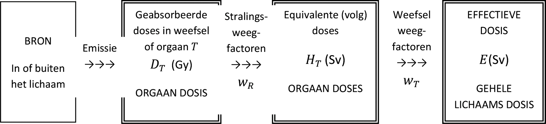 Figuur 1. Schema om te komen tot de geabsorbeerde doses, DT, de equivalente (volg)doses, HT en de effectieve dosis, E ontvangen door een persoon van een stralingsbron