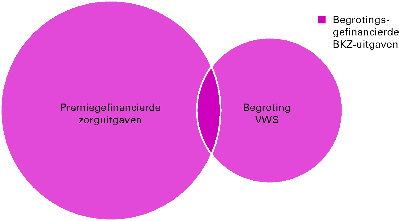 Overzicht 2: Onderscheid tussen Budgettair Kader Zorg (BKZ) en VWS-begroting