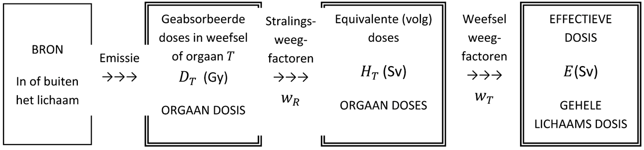 Figuur 1. Schema om te komen tot de geabsorbeerde doses, DT, de equivalente (volg)doses, HT en de effectieve dosis, E ontvangen door een persoon van een stralingsbron