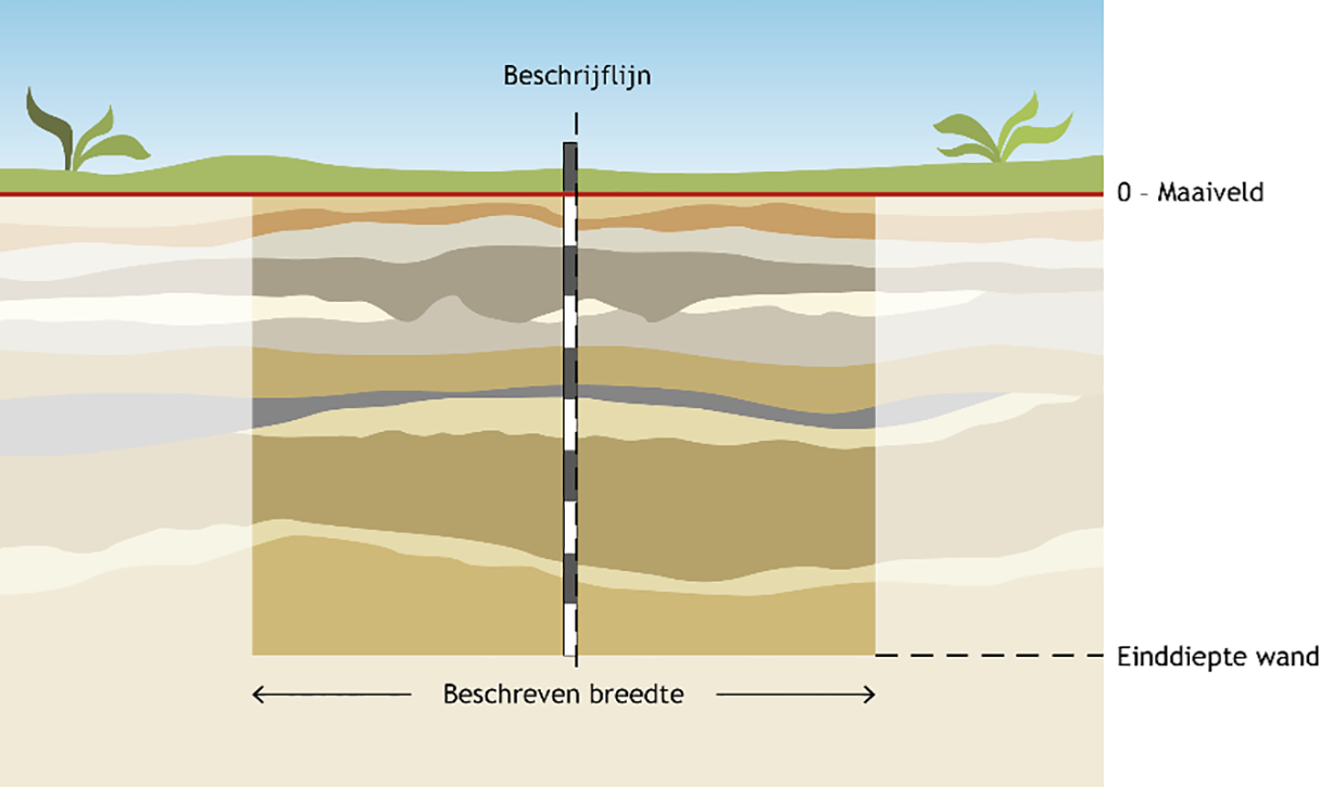 Figuur 2: De wand wordt tot een bepaalde diepte geprepareerd en over een bepaalde breedte beschreven. De beschrijflijn definieert de locatie van het onderzoek.