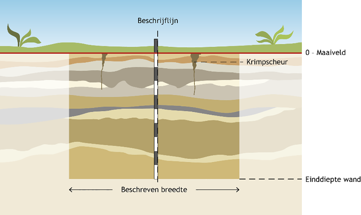 Figuur 3: Op enkele plaatsen in de wand is de opbouw verstoord door krimpscheuren, een van de zgn. plaatselijke fenomenen.