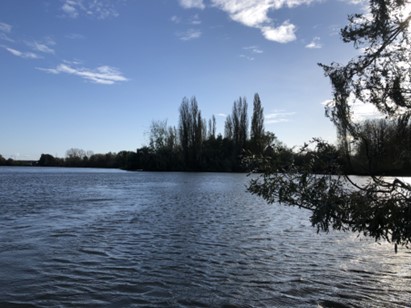 afbeelding binnen de regeling