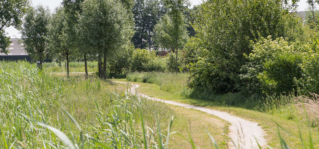 We zetten in op herstel van het fijnmazig landschap in een robuust raamwerk