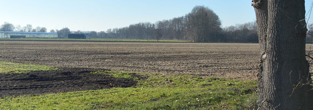 We sluiten bestaande verbindingen aan op het landschappelijk en natuurlijk raamwerk