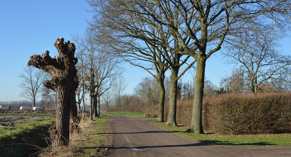 We gebruiken ‘natuurlijke’ (verdwenen) structuurlijnen voor ontsluitingsroutes