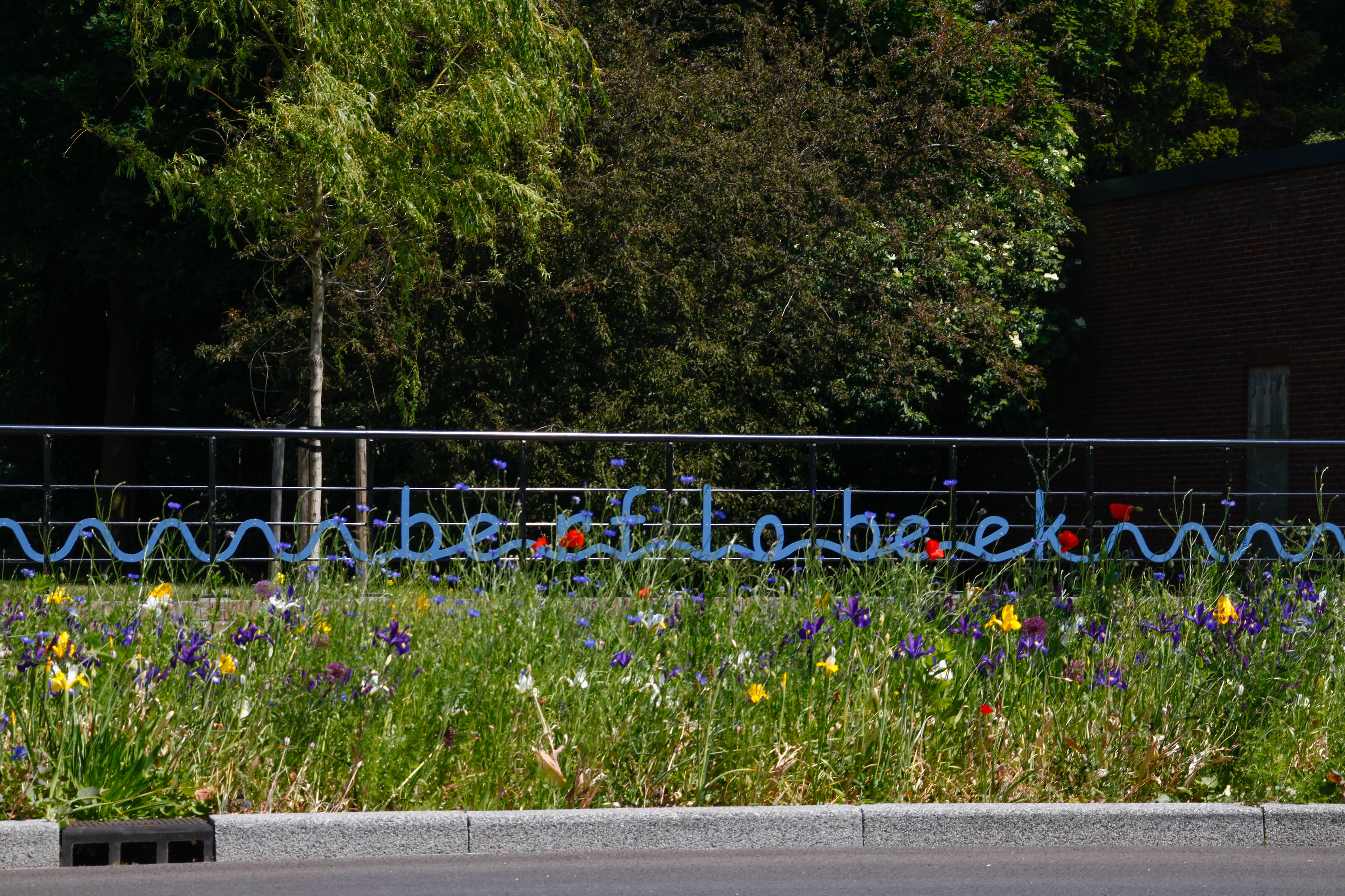 afbeelding binnen de regeling