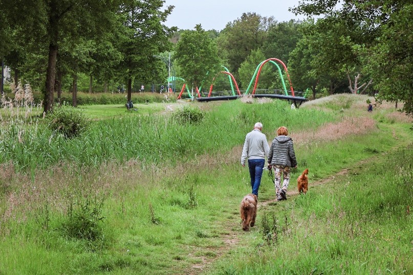 afbeelding binnen de regeling