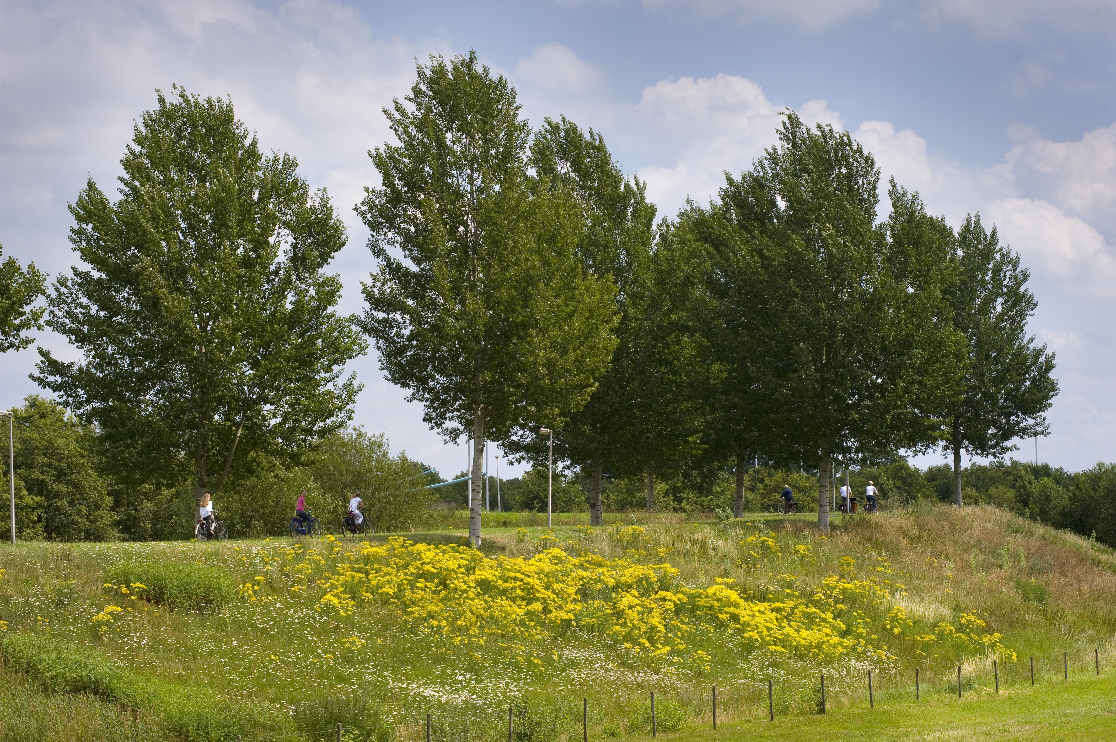 afbeelding binnen de regeling