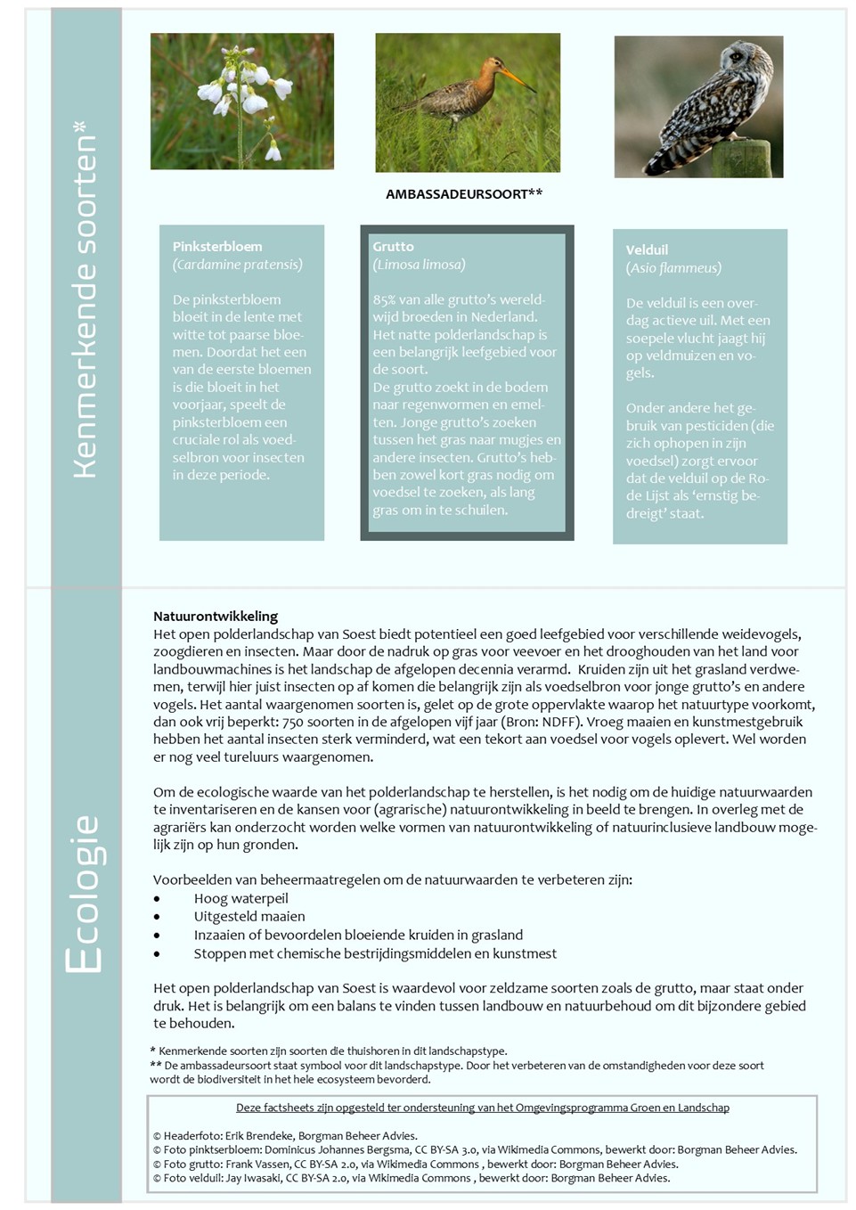 afbeelding binnen de regeling