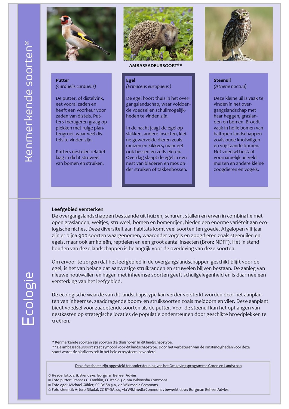 afbeelding binnen de regeling