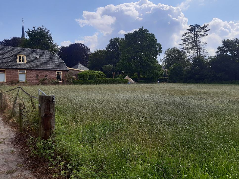 afbeelding binnen de regeling