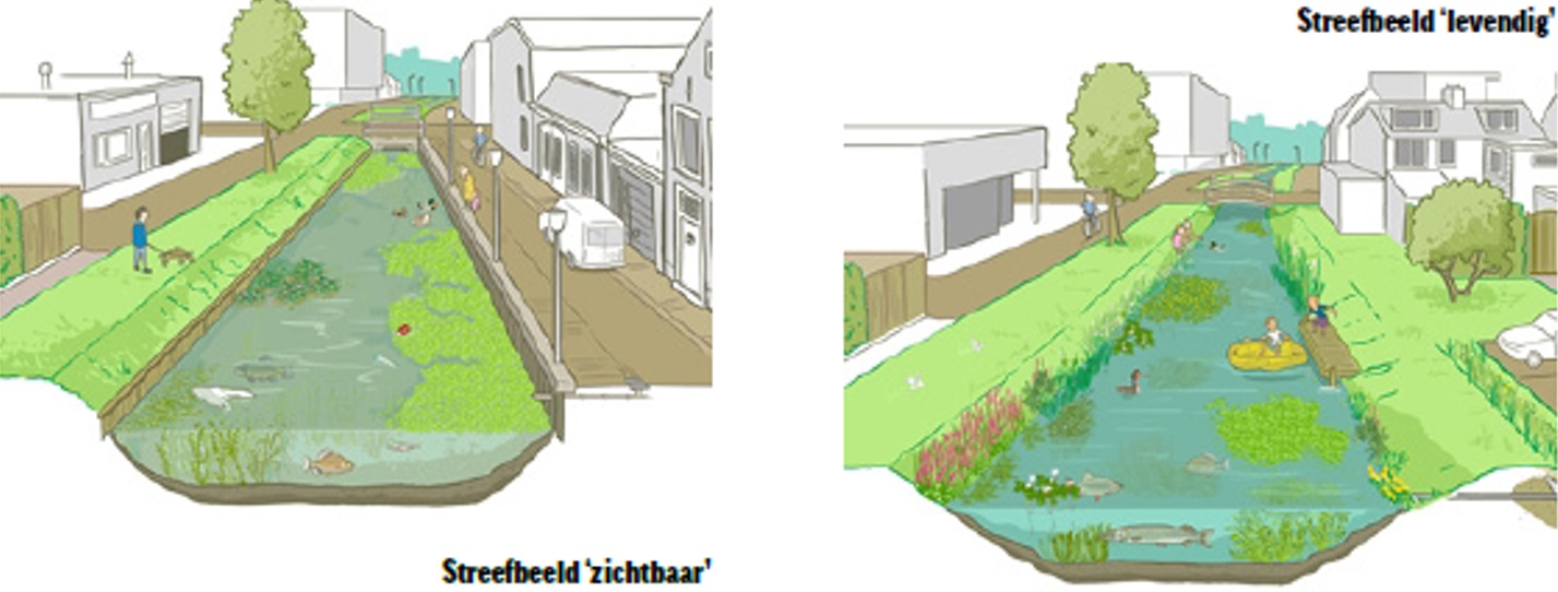 afbeelding binnen de regeling