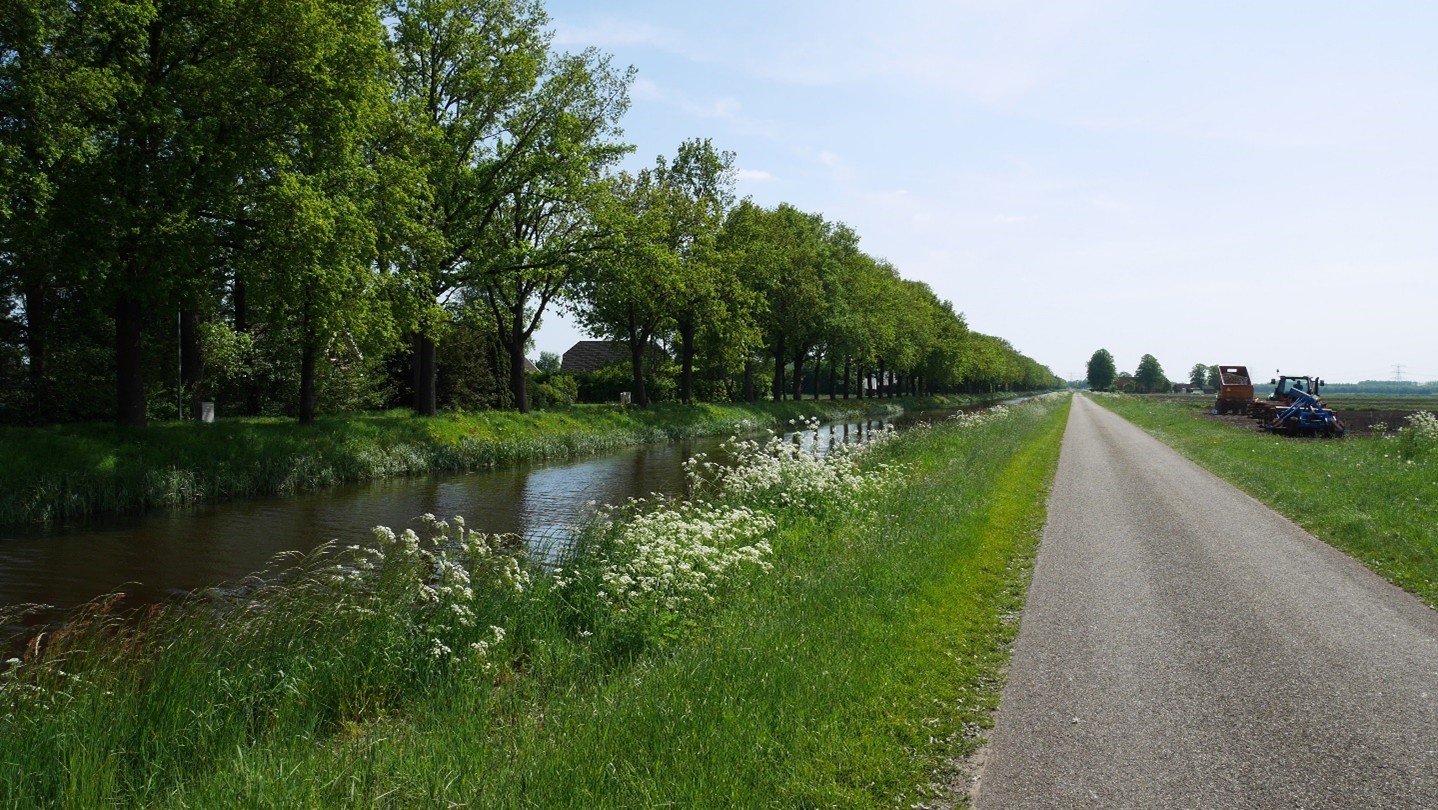 afbeelding binnen de regeling