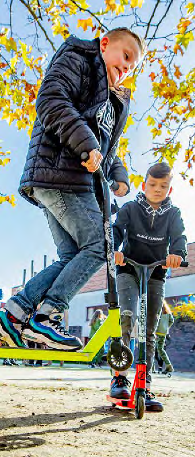 afbeelding binnen de regeling