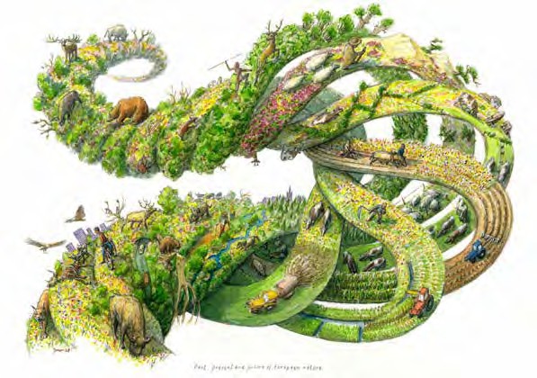 afbeelding binnen de regeling