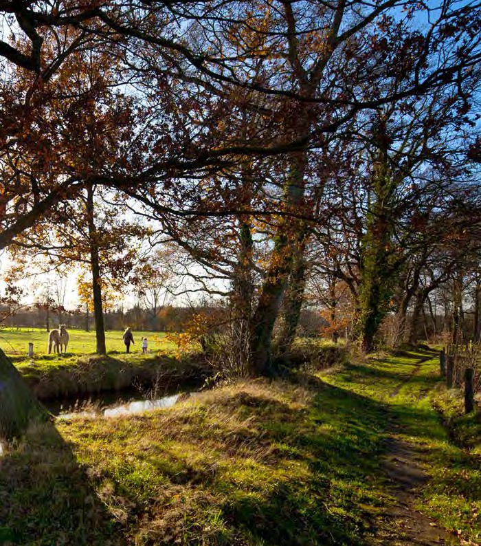 afbeelding binnen de regeling