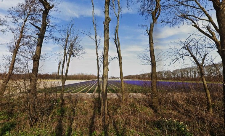 afbeelding binnen de regeling