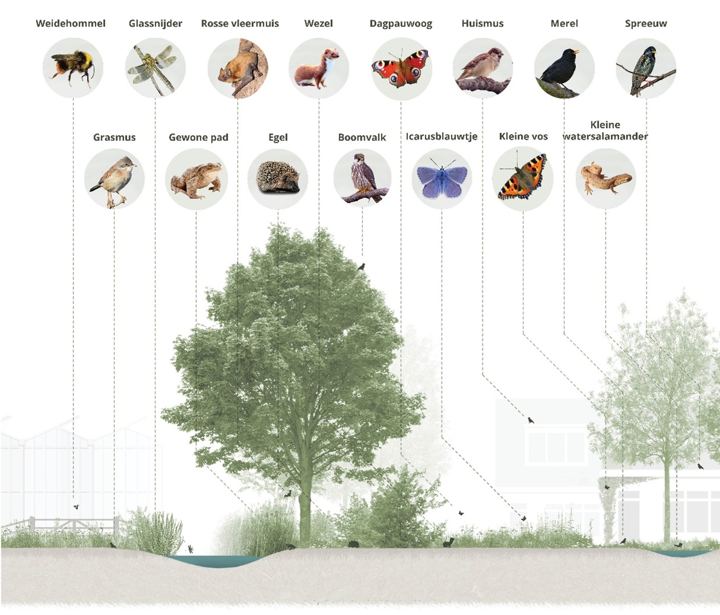 afbeelding binnen de regeling