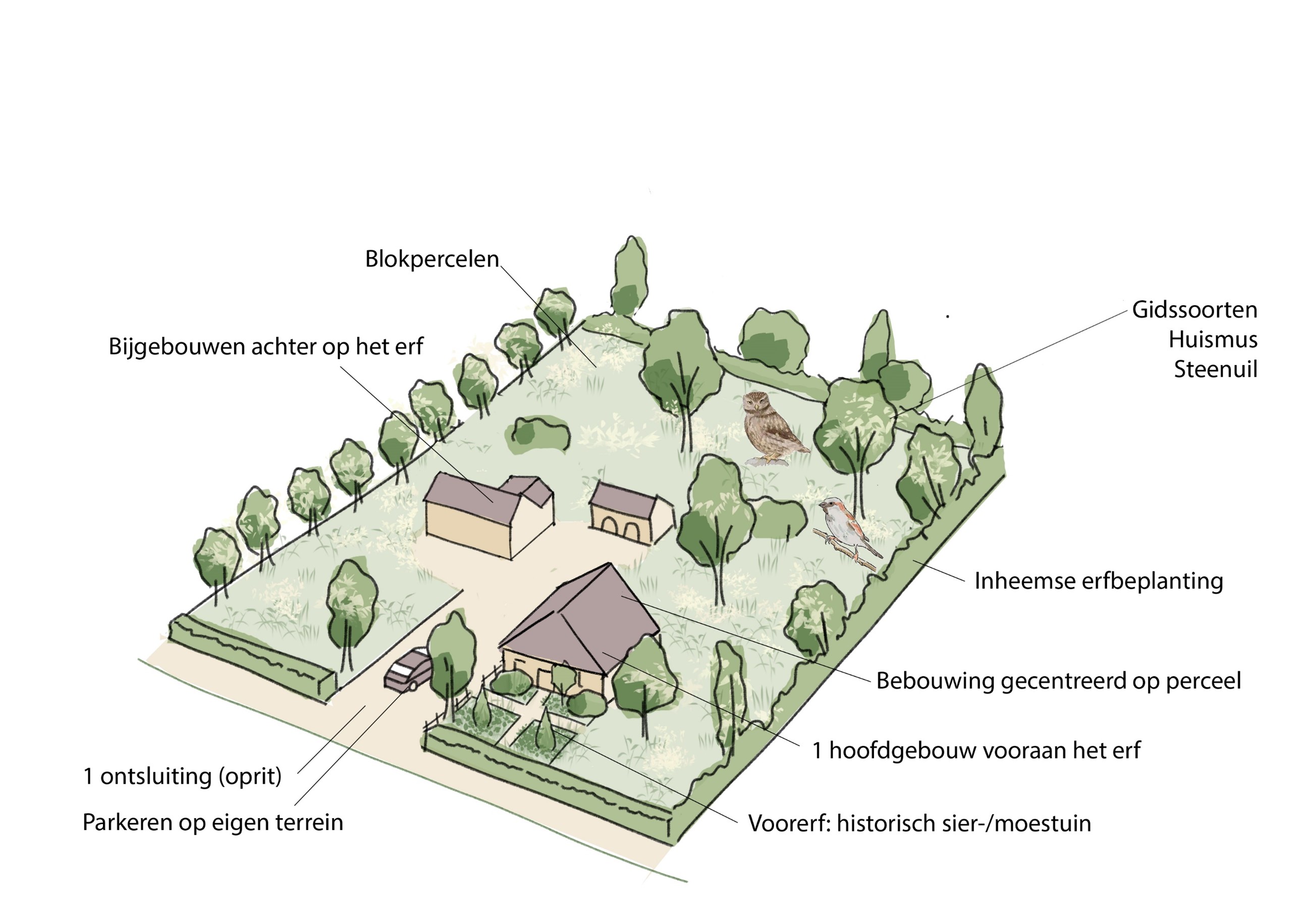 afbeelding binnen de regeling