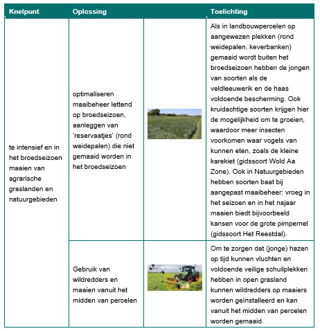 Afbeelding met tekst, schermopname

Door AI gegenereerde inhoud is mogelijk onjuist.