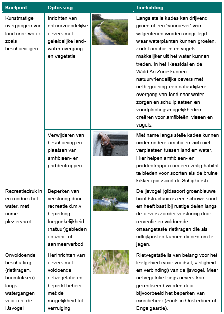 Afbeelding met tekst, schermopname, Website, Webpagina Door AI gegenereerde inhoud is mogelijk onjuist.