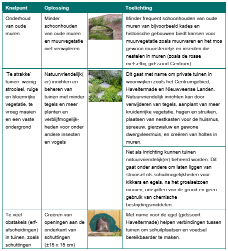 Afbeelding met tekst, schermopname

Door AI gegenereerde inhoud is mogelijk onjuist.