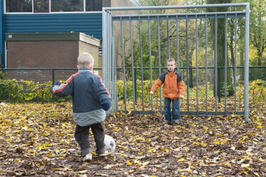 afbeelding binnen de regeling