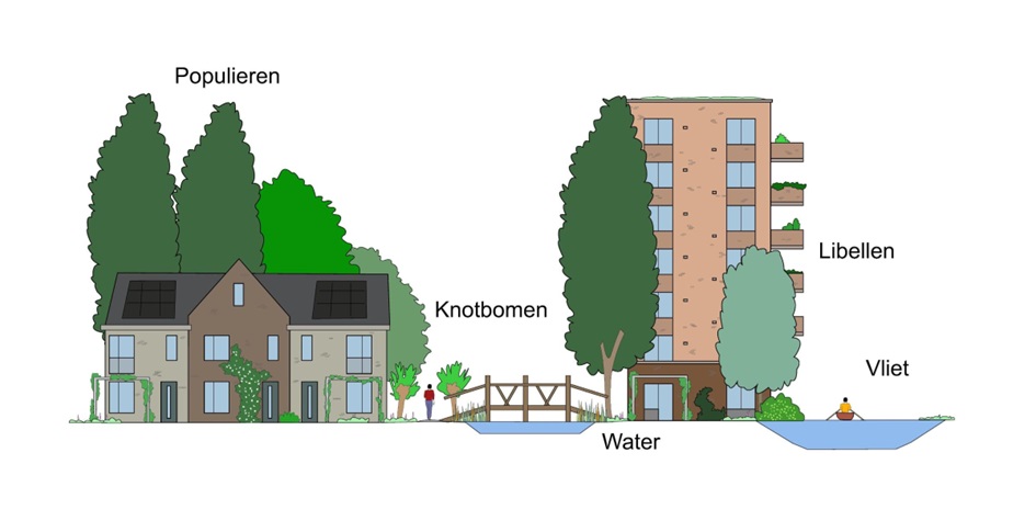 afbeelding binnen de regeling