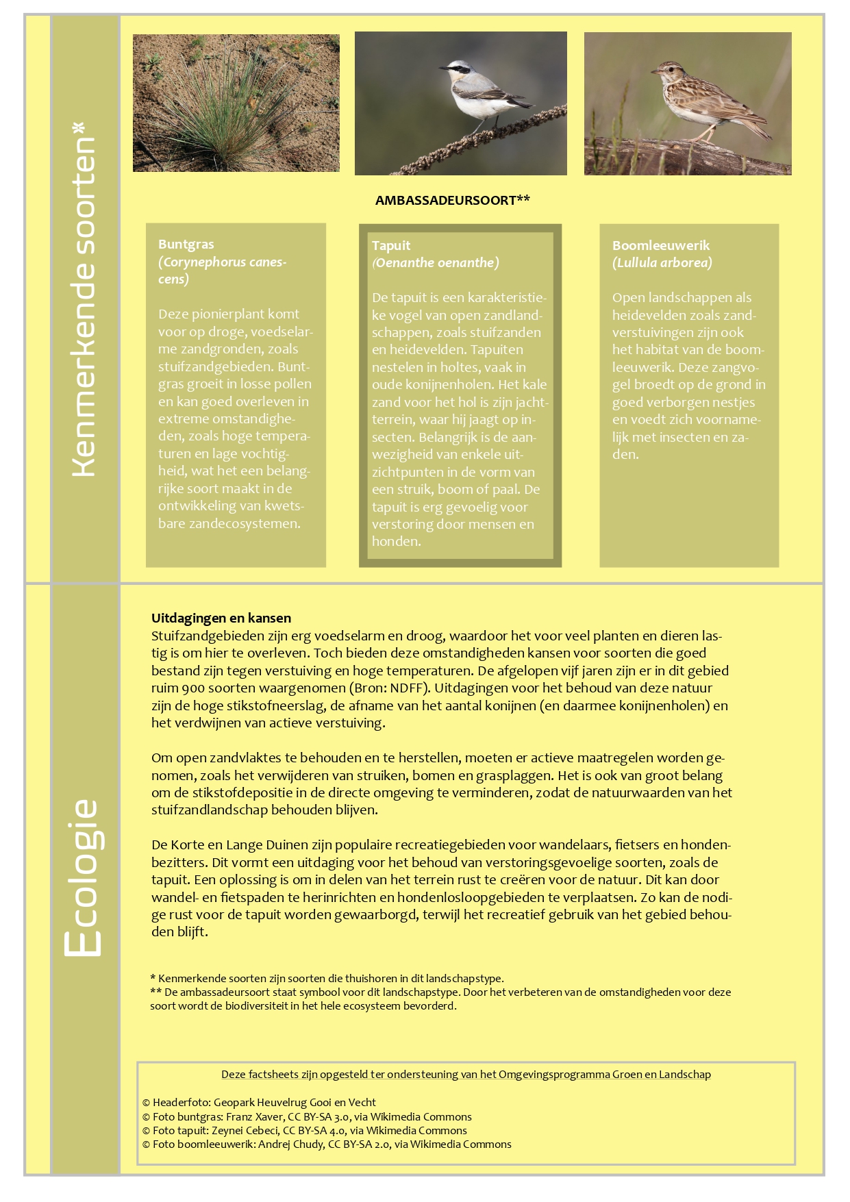 afbeelding binnen de regeling