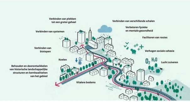 afbeelding binnen de regeling