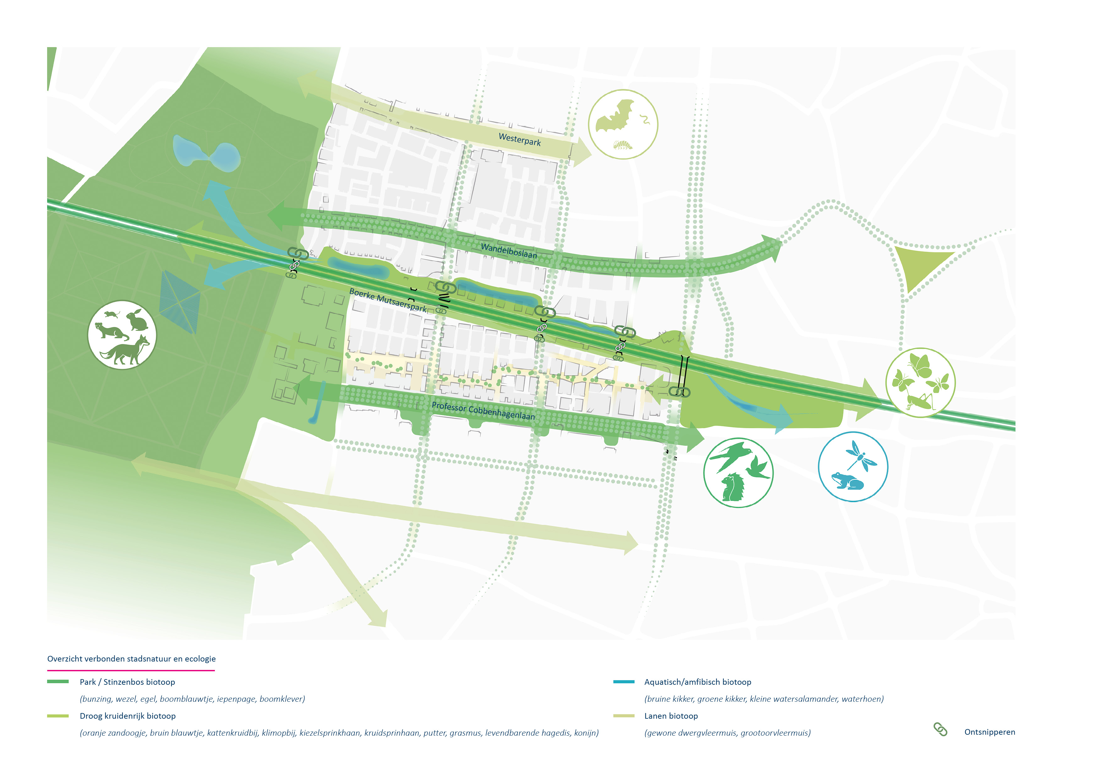 afbeelding binnen de regeling