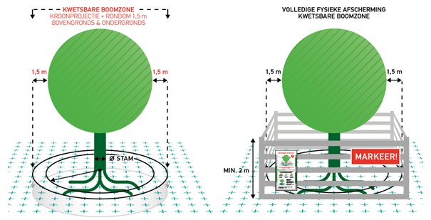 afbeelding binnen de regeling