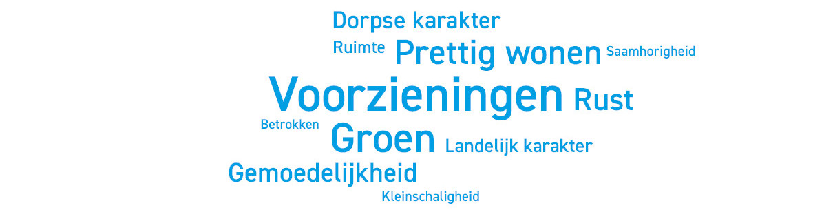 afbeelding-03-gebiedsbeschrijving-nu-woordwolk.jpg