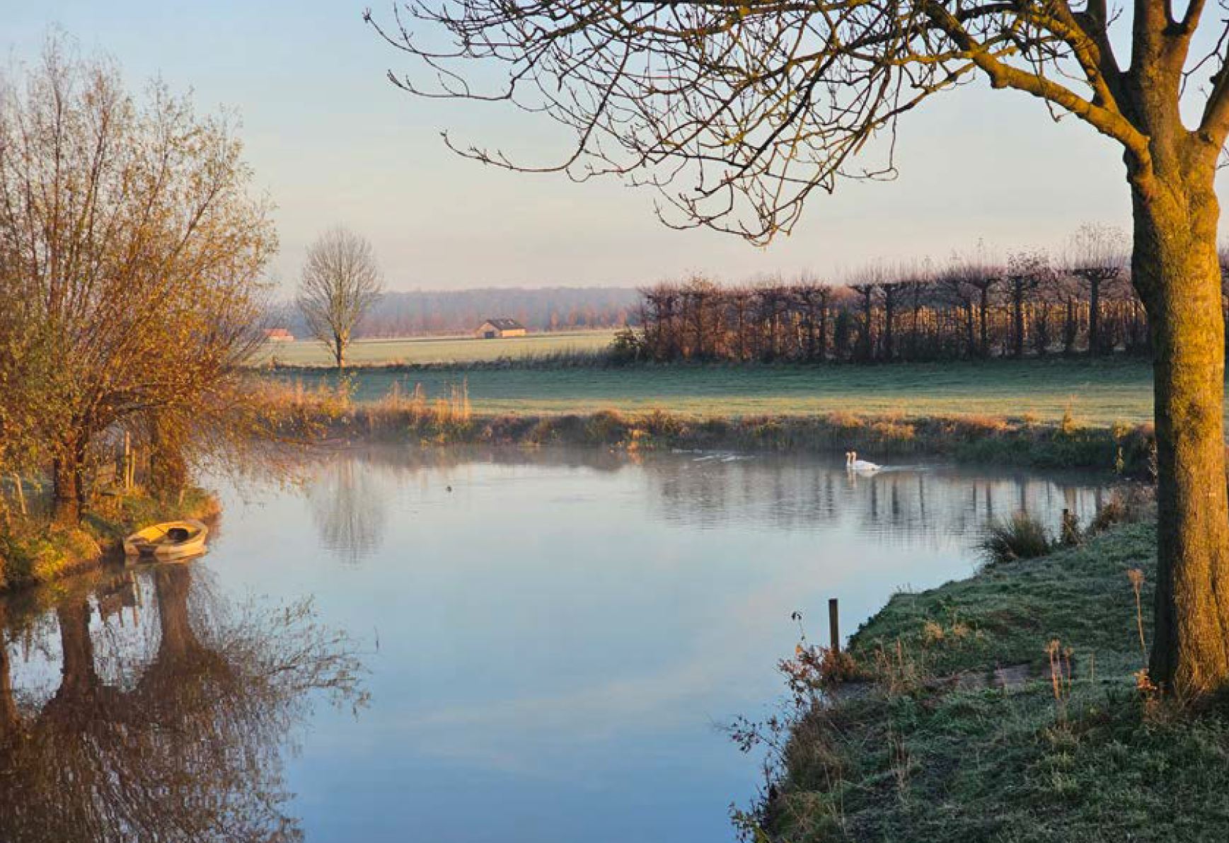 afbeelding binnen de regeling