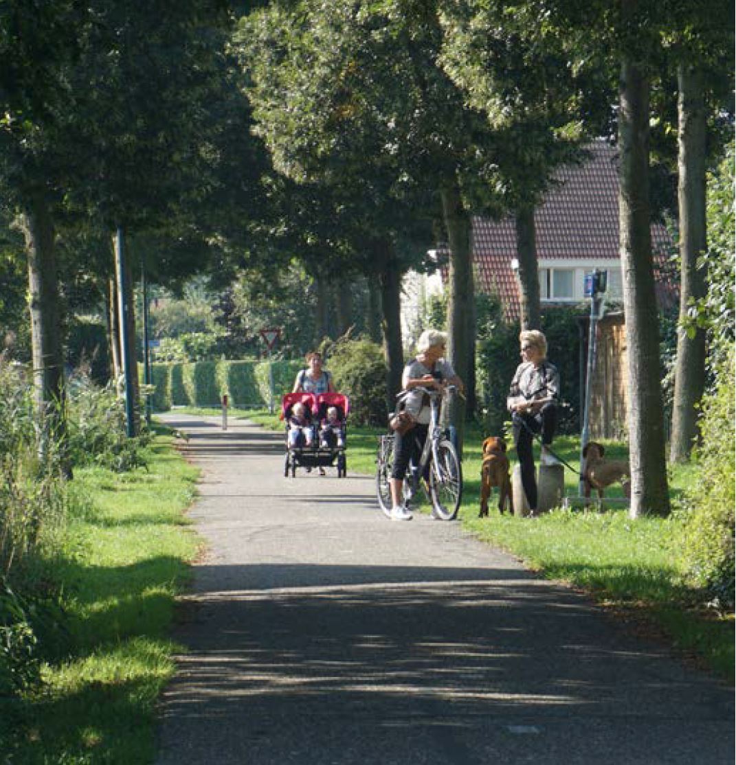 afbeelding binnen de regeling