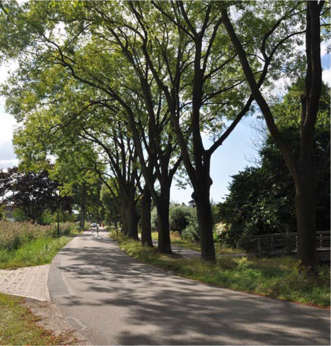 afbeelding binnen de regeling