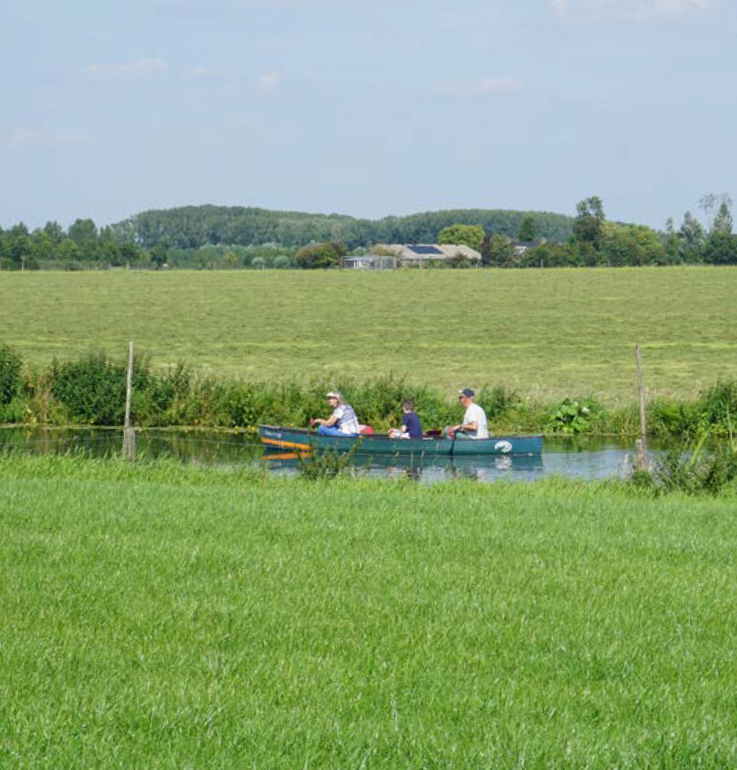 afbeelding binnen de regeling