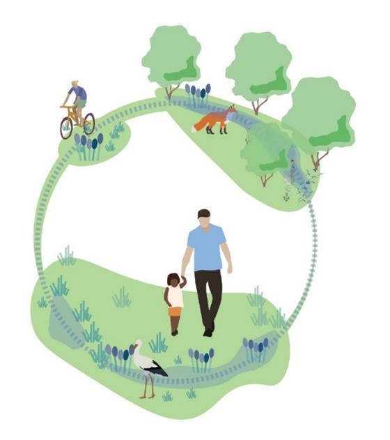 afbeelding binnen de regeling