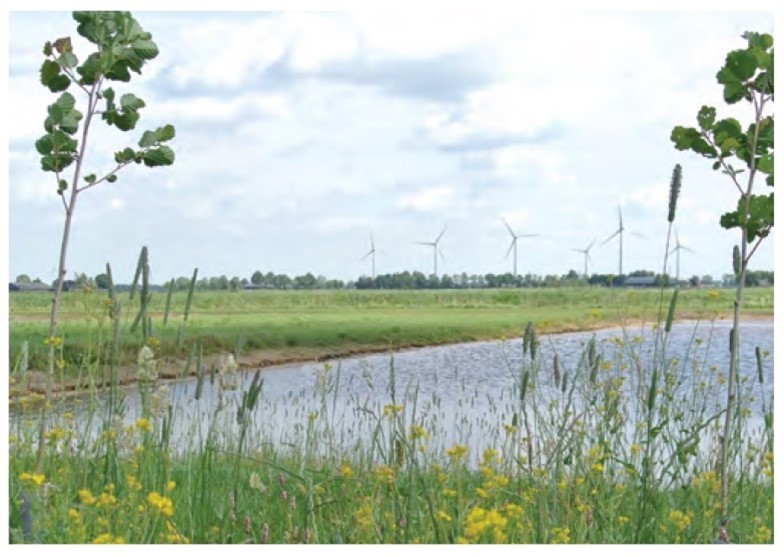 afbeelding binnen de regeling