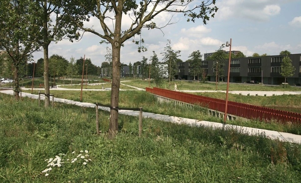 afbeelding binnen de regeling