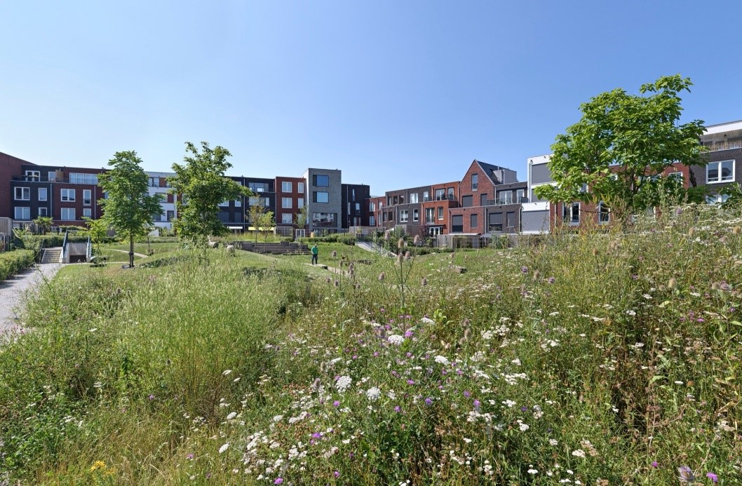 afbeelding binnen de regeling