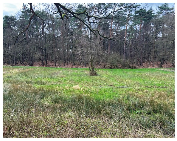 afbeelding binnen de regeling