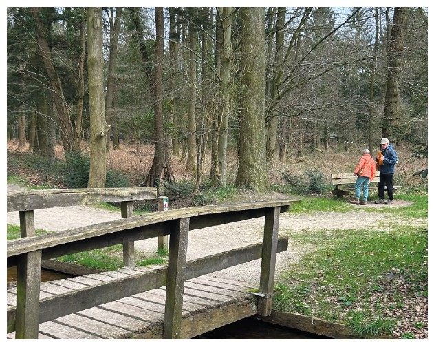 afbeelding binnen de regeling