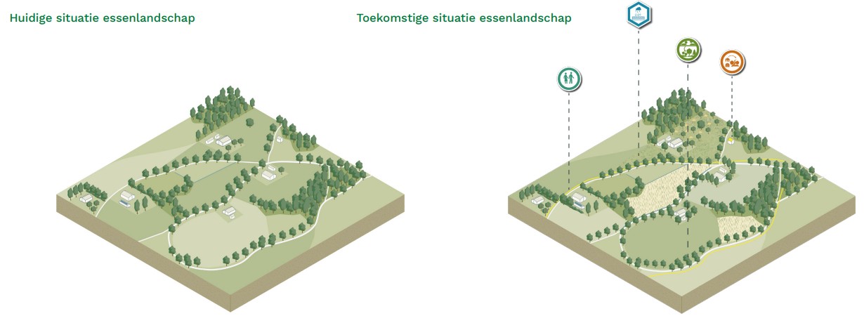 afbeelding binnen de regeling