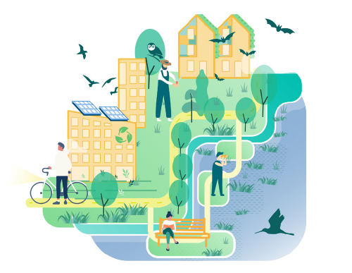 afbeelding binnen de regeling