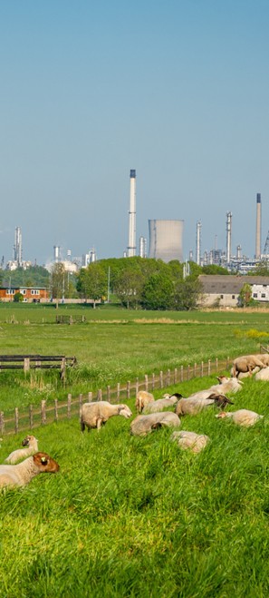 afbeelding binnen de regeling