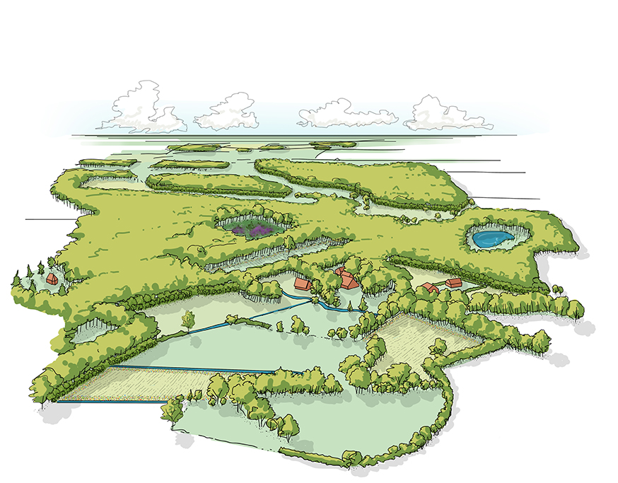 afbeelding binnen de regeling